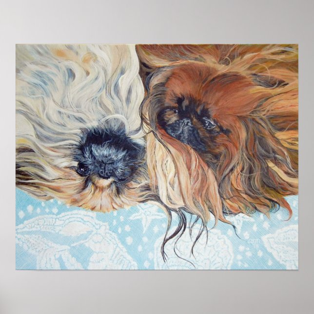 Affiche Deux chiens Pékinois (Devant)