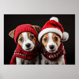 Affiche Deux chiots de Noël