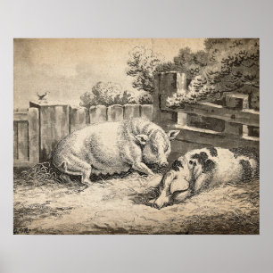 Affiche Deux cochons couchés dans la paille dans un stylo 