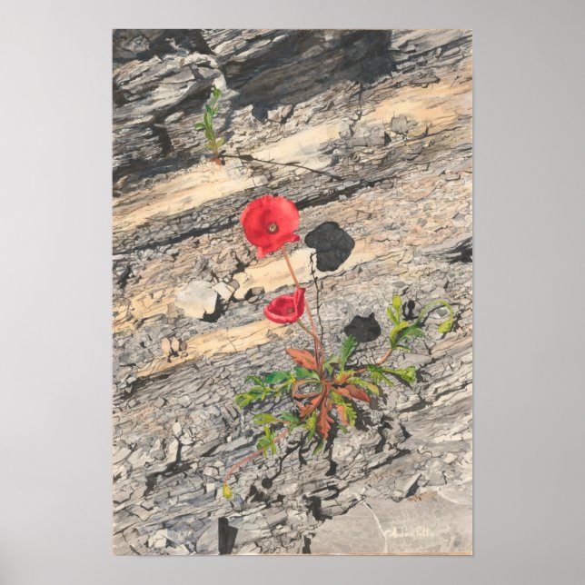 Affiche Deux crétacés (Devant)