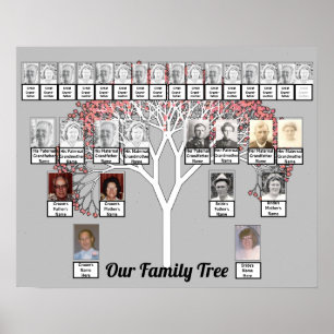 Affiche Deux familles Arbre fractal gris Nom de la photo P