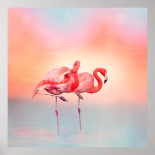 Affiche Deux flamants roses dans l'eau au coucher du solei