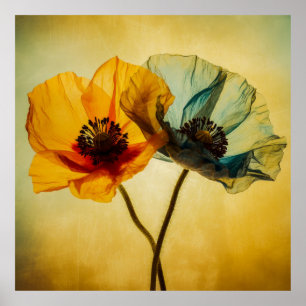 Affiche Deux fleurs