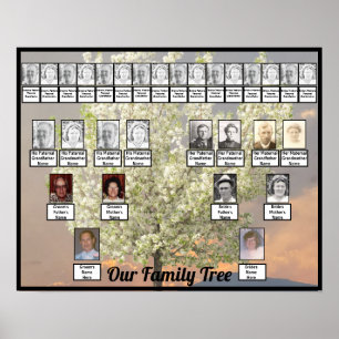 Affiche Deux fleurs d'arbre généalogique   Coucher de sole