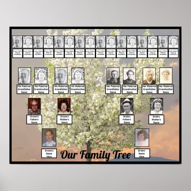 Affiche Deux fleurs d'arbre généalogique | Coucher de sole (Devant)