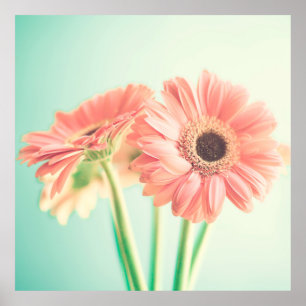 Affiche Deux fleurs rose