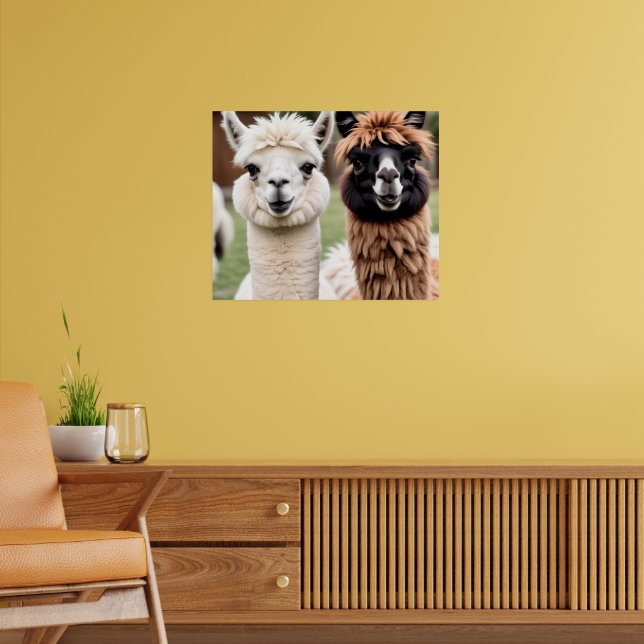 Affiche Deux lamas (Salon 2)
