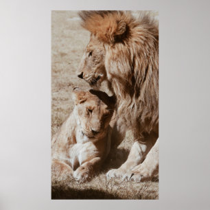 AFFICHE DEUX LIONS BROWN SUR LE CHAMP VERT