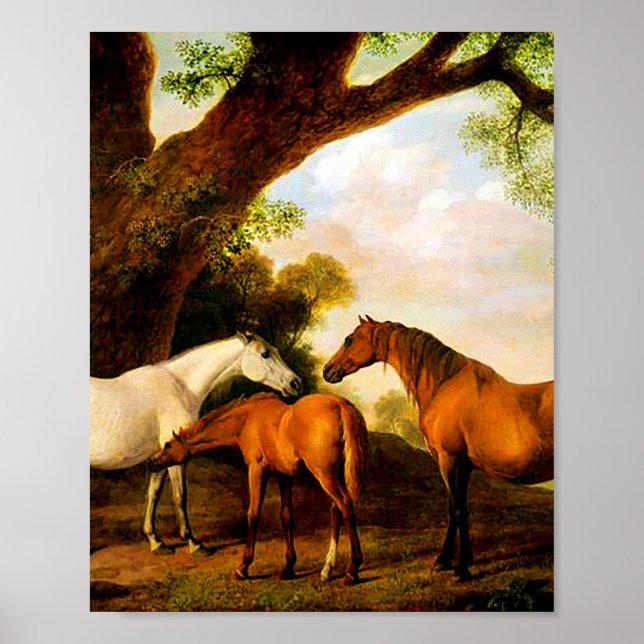 Affiche Deux mares shafto et un poulain par George Stubbs (Devant)