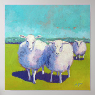 Affiche Deux moutons dans le domaine