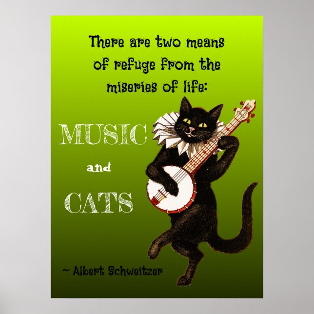 Affiche Deux moyens de refuge Musique Chats Schweitzer (Devant)