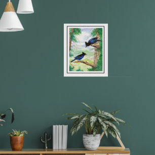 Affiche Deux oiseaux geai stellaire à l'aquarelle arbres f