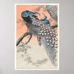 Affiche Deux paons sur une branche d'arbre Art fin japonai