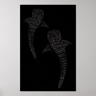 Affiche Deux requins baleines noir et blanc