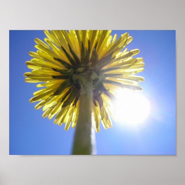 Affiche Deux soleils (Devant)