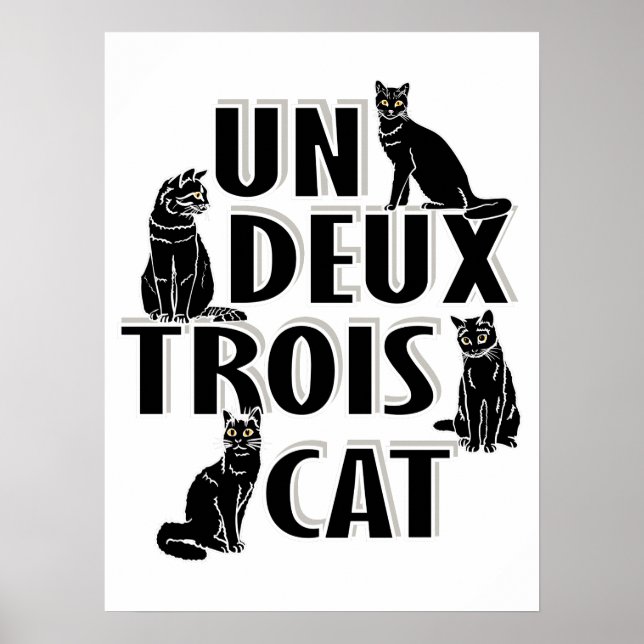 Affiche Deux Trois Cat (Devant)