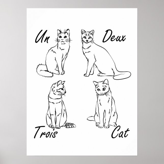 Affiche Deux Trois Cat Funny French (Devant)