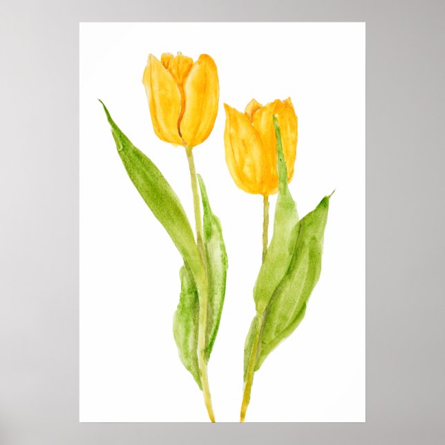 Affiche deux tulipes jaunes aquarelle (Devant)