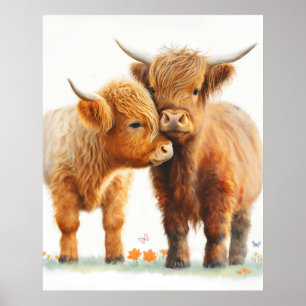 Affiche Deux vaches adorables des hautes terres qui s'accr