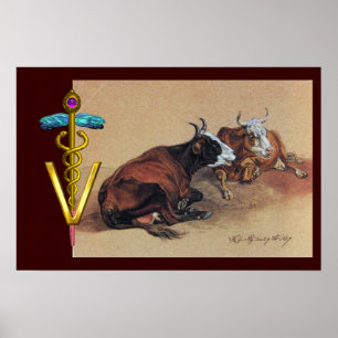 AFFICHE DEUX VACHES MENTANT CADUCÉE D'OR SYMBOLE VÉTÉRINAI