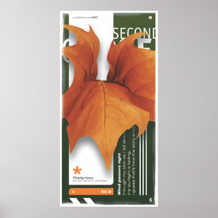 Affiche DEUXIÈME SAISON (Affiche)