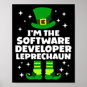 Affiche Développeur de logiciels irlandais Leprechaun St P