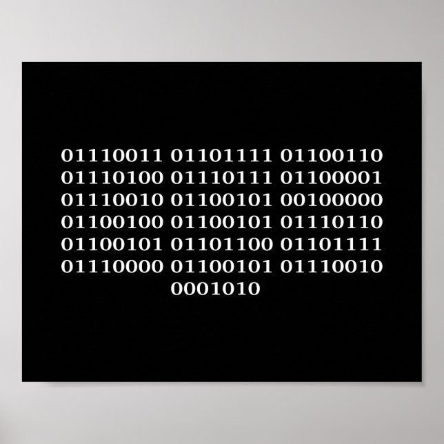 Affiche Développeur logiciel (Devant)