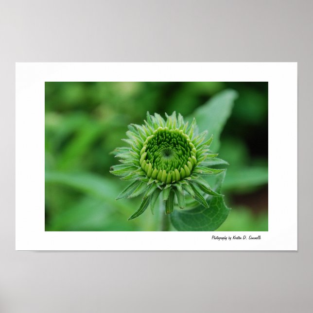 Affiche Devenir vert (Devant)