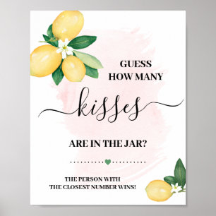 Affiche Devinez combien de baisers Lemons Pink Shower Game