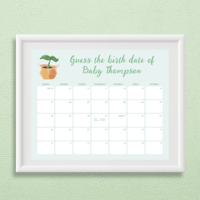 Affiche Devinez le calendrier de la date de naissance Litt (Guess the Birth Date Calendar Little Sprout Poster)