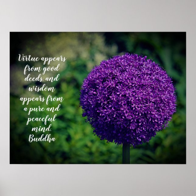 Affiche Devis de motivation parfait violet Allium Allium (Devant)
