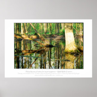 Affiche Devis Emerson