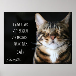 Posters Affiches Humour De Zen Zazzle Fr