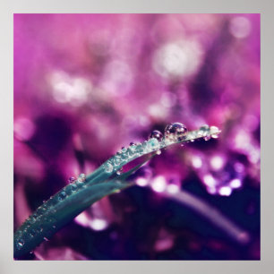 Affiche Dew sur la feuille rose violet Macro Abstrait