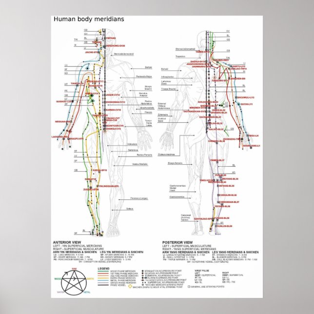 Affiche  Diagram Schematic Chinese Meridians Human Body  (Devant)
