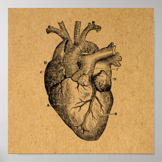 Affiche Diagramme cardiaque vintage Illustration Art Vinta