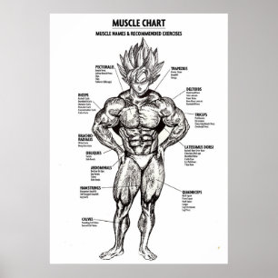 Affiche Diagramme d'anatomie de l'animal, diagramme de mus