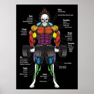 Affiche Diagramme d'anatomie musculaire - Gym Workout Body