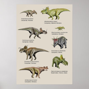 Affiche Diagramme d'arrière - plan de dinosaures