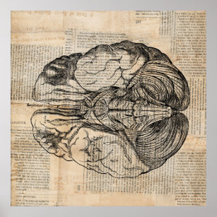 Affiche Diagramme de cerveau antique Art ancien