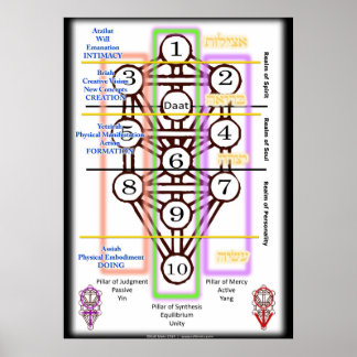 Affiche Diagramme de l'arbre de vie | Toutes les tailles