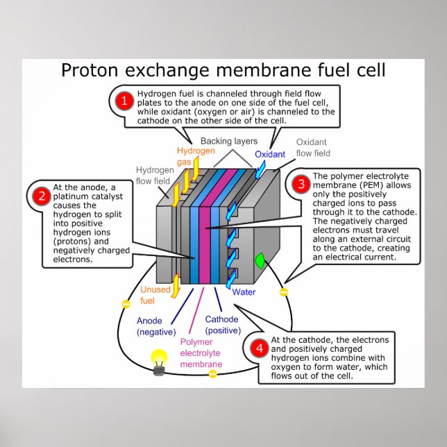 Affiche Diagramme des piles à combustible pour l'échange d (Devant)