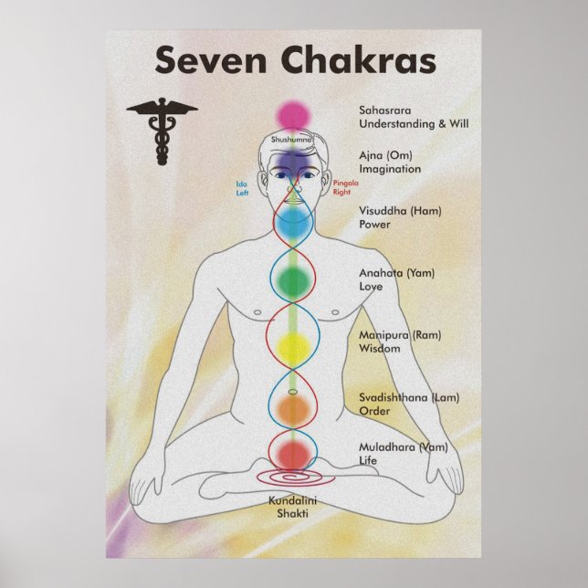 Affiche Diagramme des sept chakras (Devant)