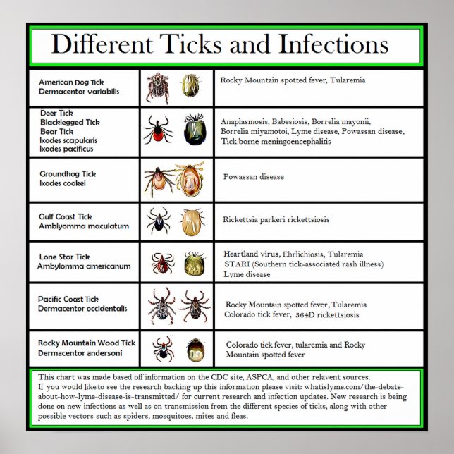 Affiche Diagramme des tiques et des infections (Devant)