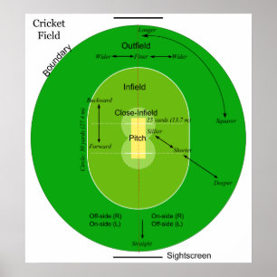 Affiche Diagramme d'un champ ovale herbeux de cricket