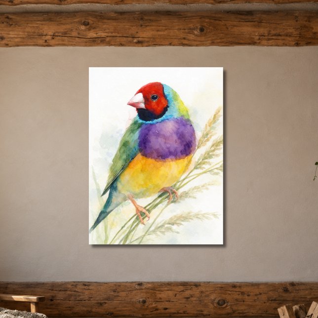 Affiche Diamant de Gould oiseau coloré (Créateur téléchargé)