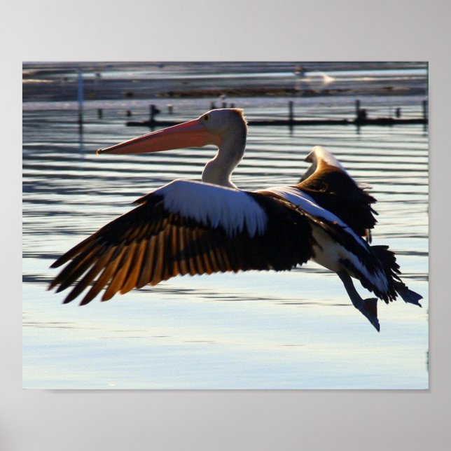 Affiche diapositive (Devant)