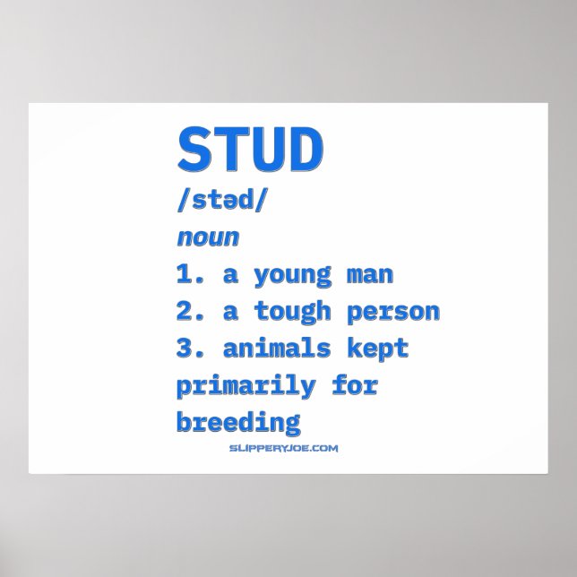 Affiche Dictionnaire d'animaux de définition de type stud  (Devant)