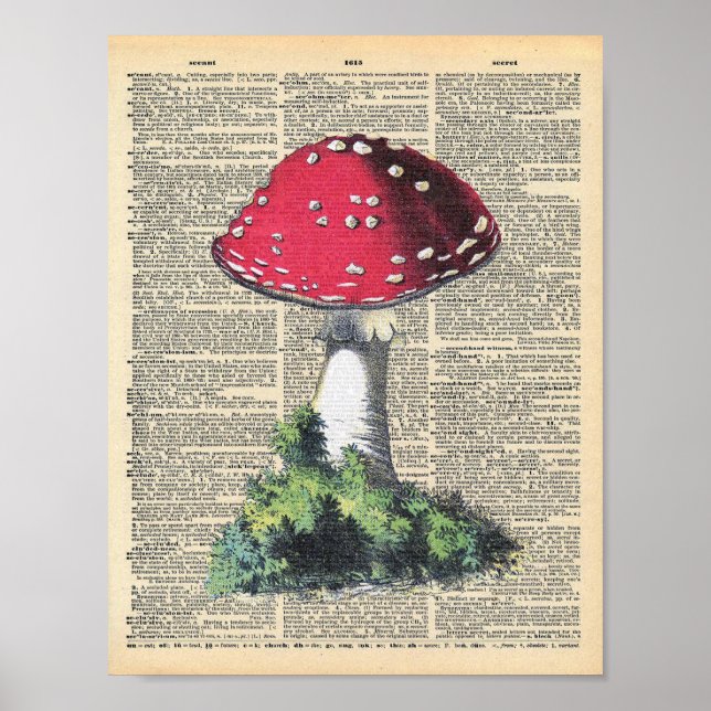 Affiche Dictionnaire vintage Art Rouge Champignons Fairy H (Devant)