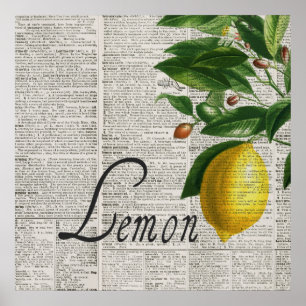 Affiche Dictionnaire vintage et citron tiré à la main